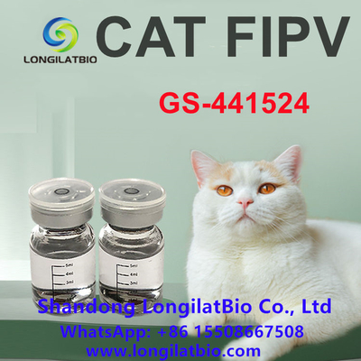 Anti PAP GS 441 20mg/ML de chat de traitement de PAP de PAP Remdesivir