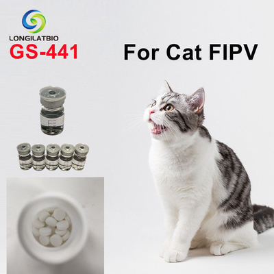 1191237-69-0 drogues de PAP pour des chats intermédiaires de 20 mg/kg Remdesivir
