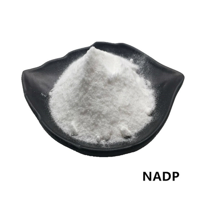 CAS nadp 1184-16-3 saupoudrent 99% Beta Nicotinamide Adenine Dinucleotide Phosphate