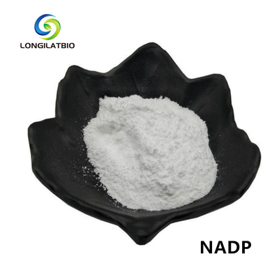 Phosphate de dinucléotide d'adénine de Bêta-nicotinamide de poudre de NADPH+